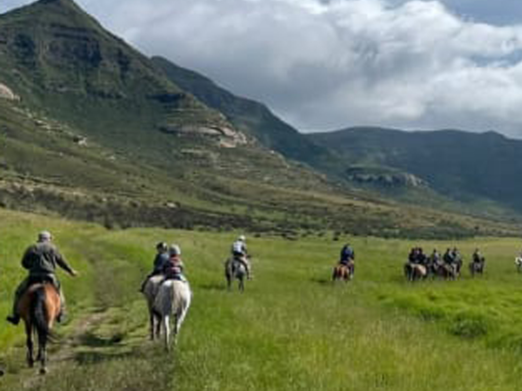 Rosendall perde plesierriet, horse ride