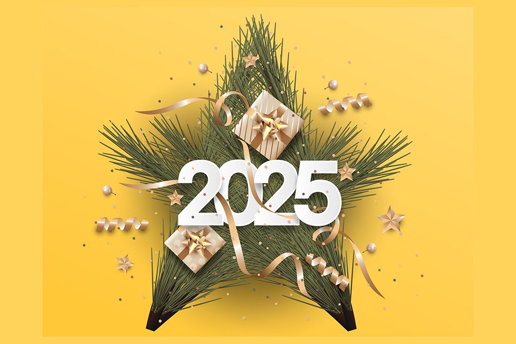 New year, 2025, Rosendal