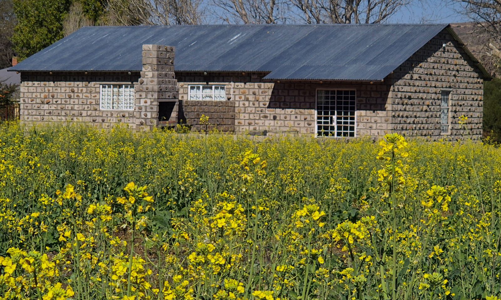 Witteberge Guesthouse, Zanddam 